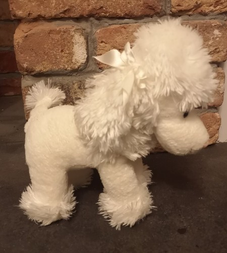 Vintage white poodle - , dog