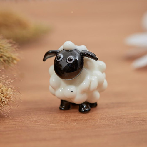 White sheep with black - sheep, face