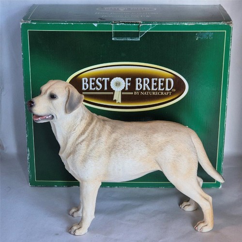 Best breed large - best, of