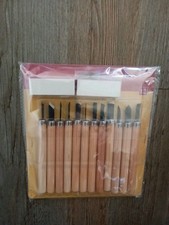 12 Pcs Wood Carving Hand Chisel Tool Set Professional Woodworking DIY Gouges Kit