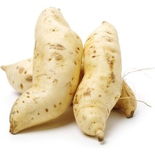 Africa Select Fresh Ugandan