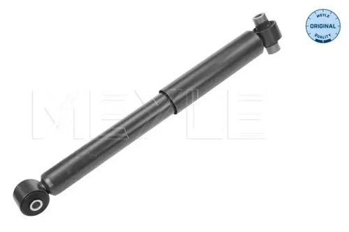 Shock absorber rear axle - shock,