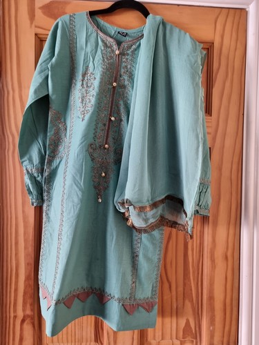 Mint pakistani piece - pakistani, suit