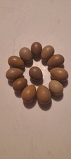 Button quail eggs - quail, 10