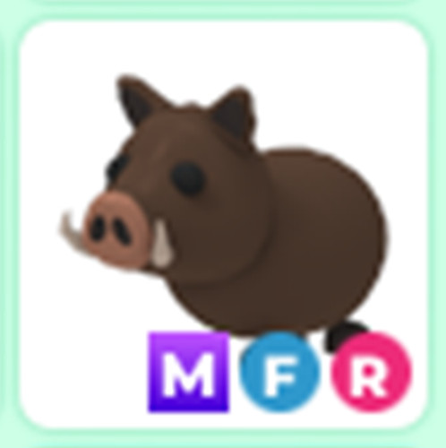 Wild boar mega adopt - -,
