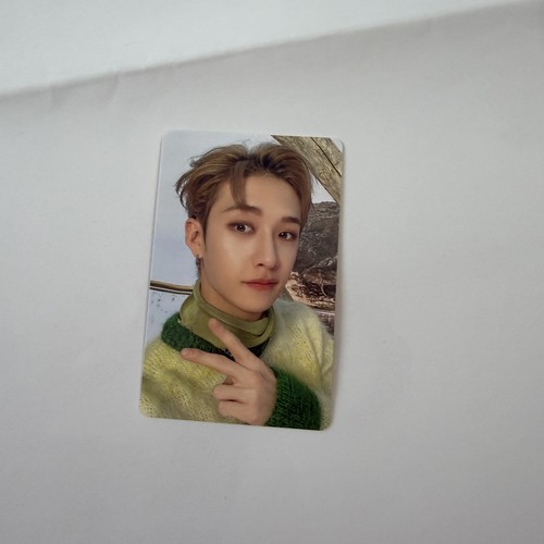 Official stray kids bang chan - stray,