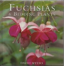 Fuchsias and Bedding Plants