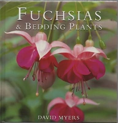 Fuchsias and bedding - and,