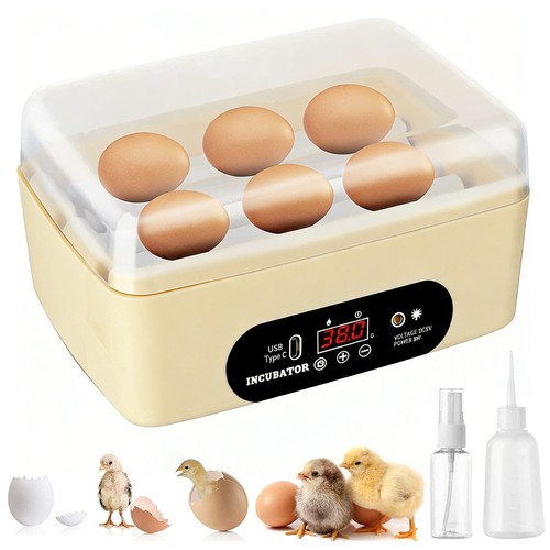 Mini eggs incubator tortoise - mini,