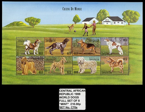 Irish terrier borzoi afghan - terrier,