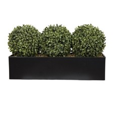 GreenBrokers Topiary Ball