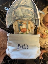 Full Silicone Baby Boy Wren With Pushchair