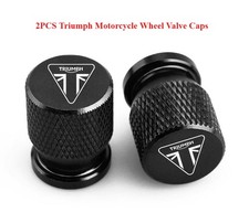 Black Tiger Triumph Motorcycle