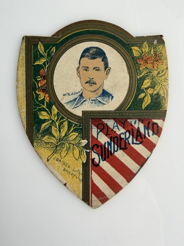 Sunderland football club safc - sunderland,