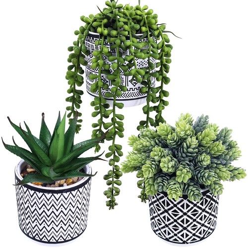 Pcs small potted - pcs,