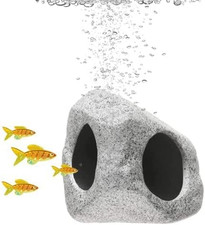 Pet Rock Aquarium Cave Fish
