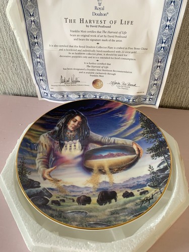 American indian plate the - american,