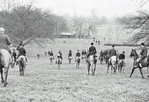 Gordon canning foxhounds - foxhounds, meet