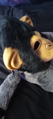 Monkey mask good - monkey,