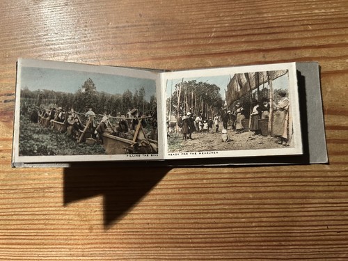 Rare snapshot album hop - rare,