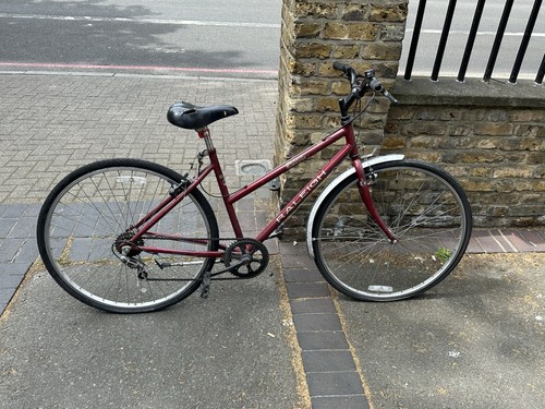 Raleigh pioneer classic - pioneer,