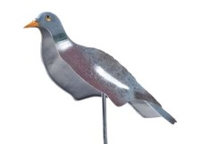 Pigeon Shell Decoys by Sports