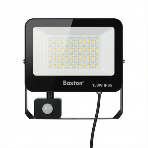 Baxton 100w led outdoor - 100w,