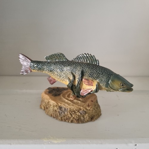 Zander the anglers showcase - zander,