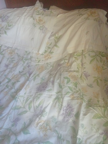Sanderson options 100 cotton - 100%,