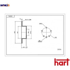 2x BRAKE DISC 250 596 FOR RENAULT MASTER/III/Platform/Chassis/Van/Bus  NISSAN