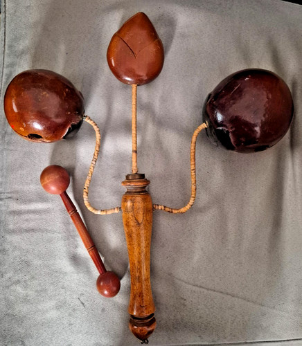 Vietnamese lotus clacker - lotus,