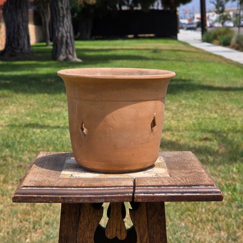 Vintage terracotta orchid - terracotta, pot