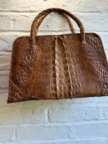 Vintage 1950s alligator skin - 1950s,