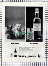 Black & White Whisky Dogs