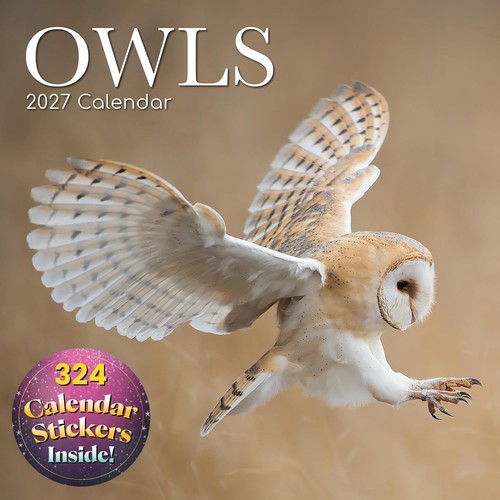 2027 square wall calendar owls - square, calendar-owls