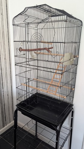 Bird cage with - bird,