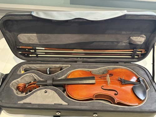 Master eastman viola kit - viola,