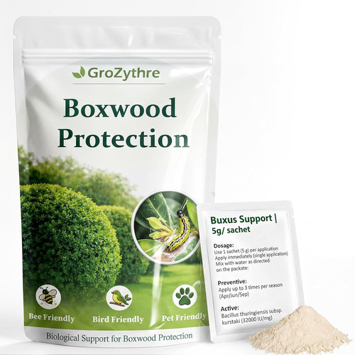 Boxwood caterpillar treatment - caterpillar,