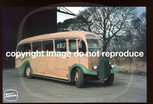Coach slide greenslades - coach,
