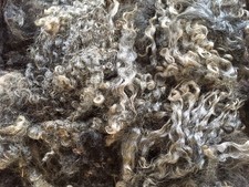 1 Kg Raw Unwashed Gotland