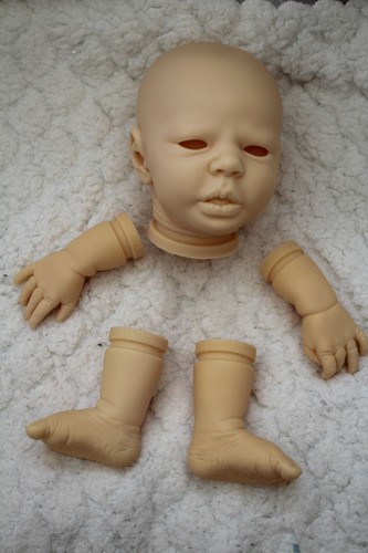 Reborn supplies new blank - reborn,