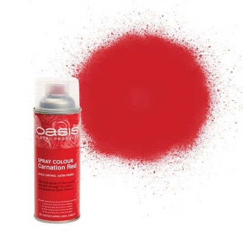 Oasis flower spray - spray, paint