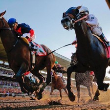 Simple 7 Step Lays Horse