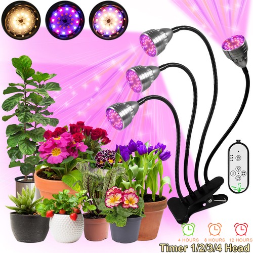Timer full spectrum - led, grow