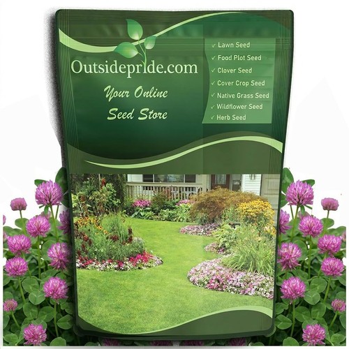 Clover seeds perennial - clover,