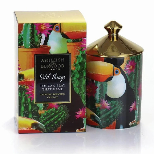 Ashleigh burwood wild things - &,