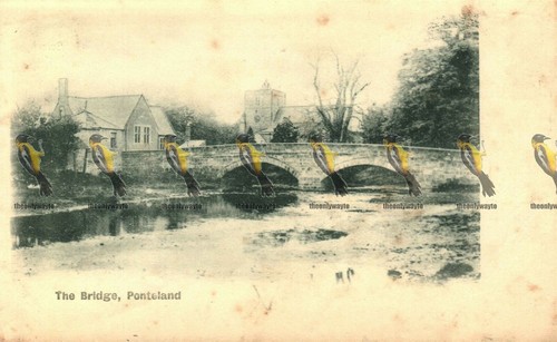 Bridge ponteland rare - ponteland,,