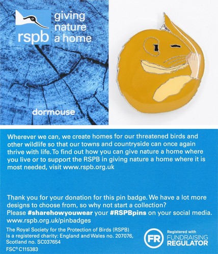 Rspb pin badge - pin,