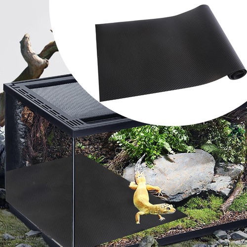 Reptile carpet accessories - reptile,