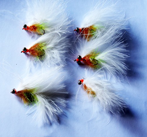 Cats whisker special bug - 6,